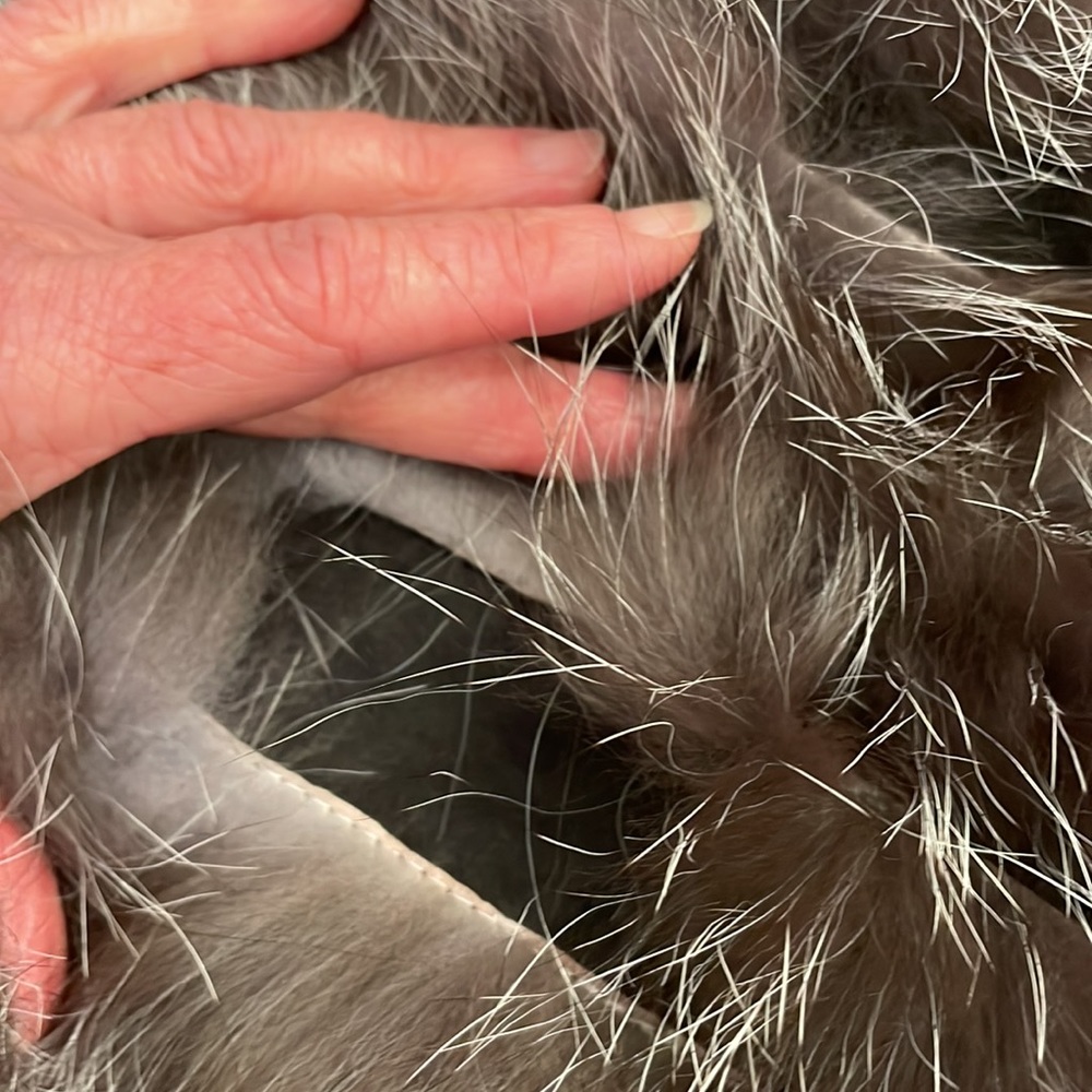 Fur jacket - Picture 8 of 16